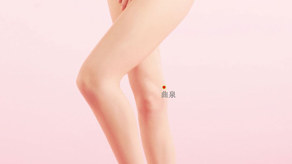 曲泉的证治纲要与定位图解