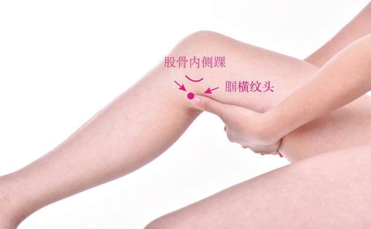 曲泉的证治纲要与定位图解