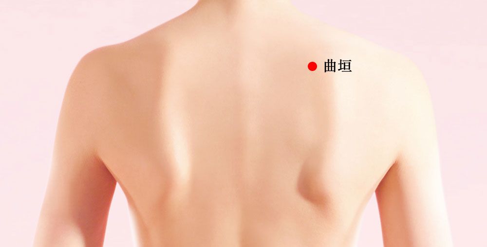 曲垣的证治纲要与定位图解
