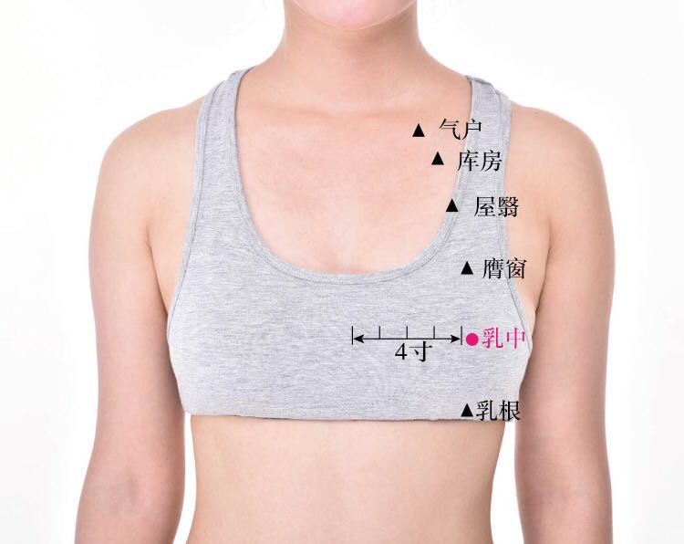 乳中的证治纲要与定位图解