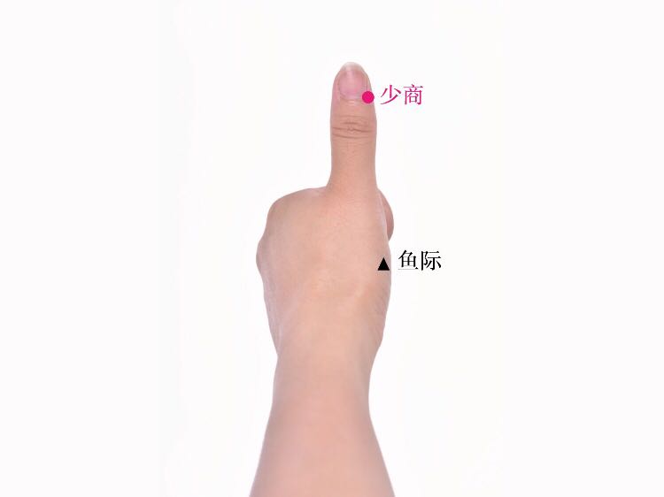 少商的证治纲要与定位图解