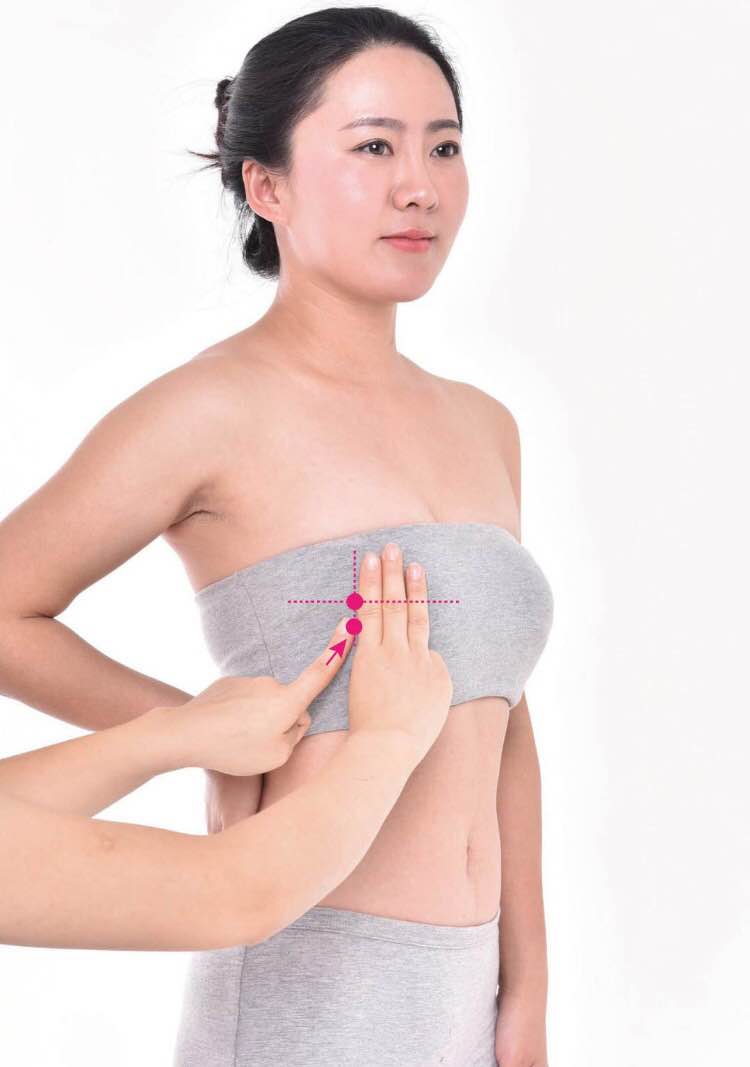 食窦的证治纲要与定位图解