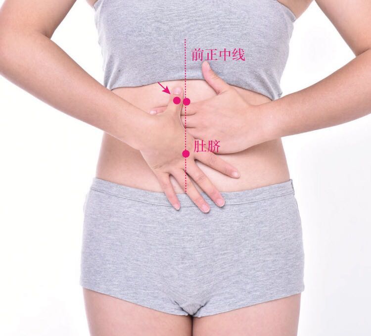 石关的证治纲要与定位图解