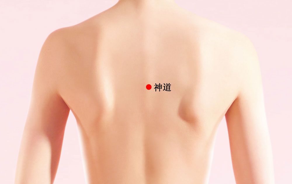 神道的证治纲要与定位图解