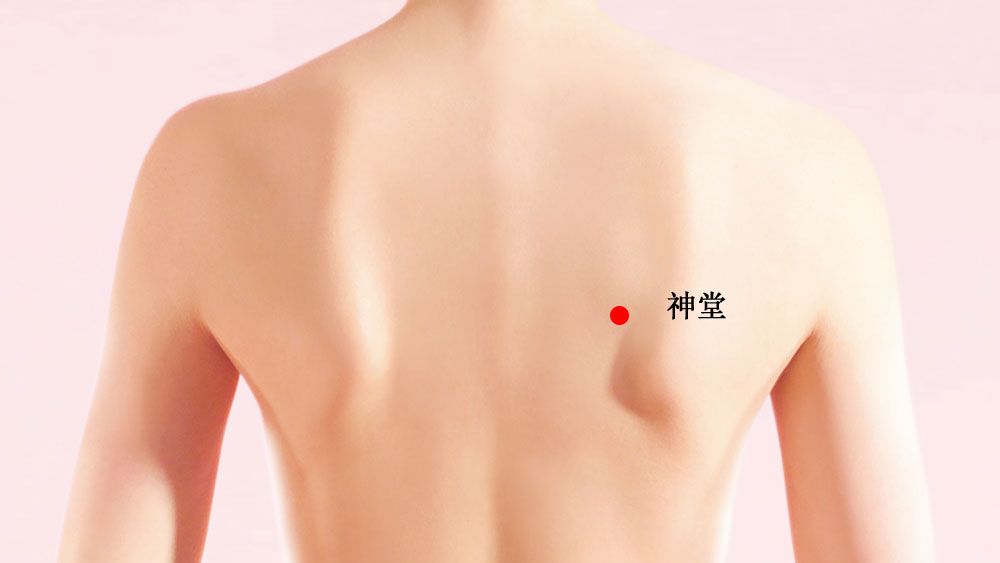 神堂的证治纲要与定位图解