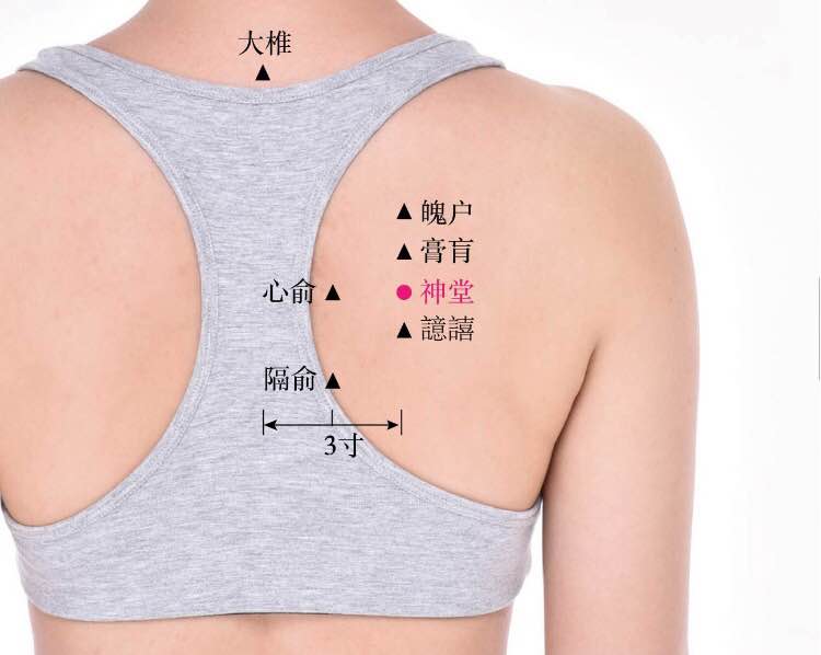 神堂的证治纲要与定位图解