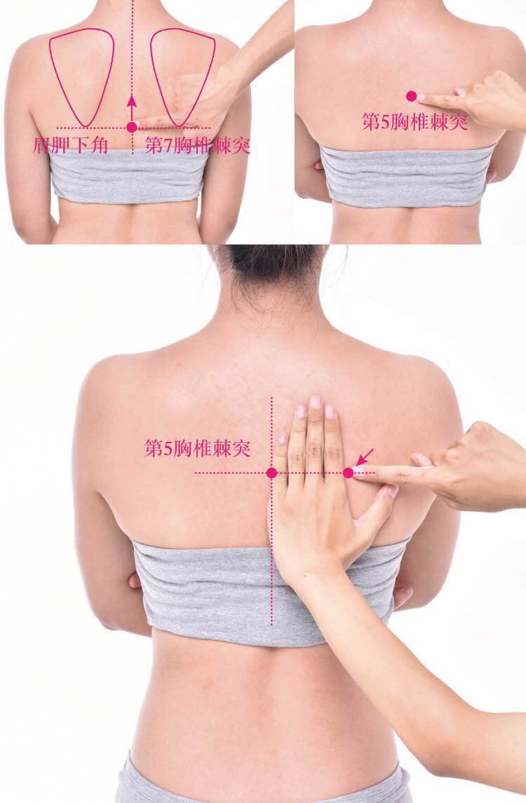 神堂的证治纲要与定位图解