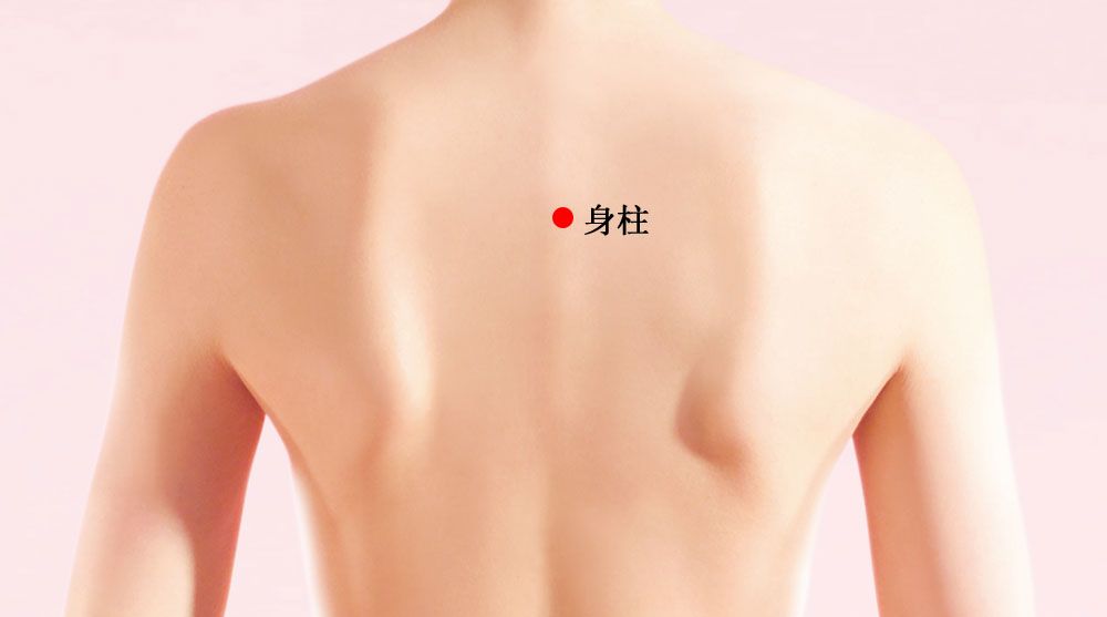 身柱的证治纲要与定位图解