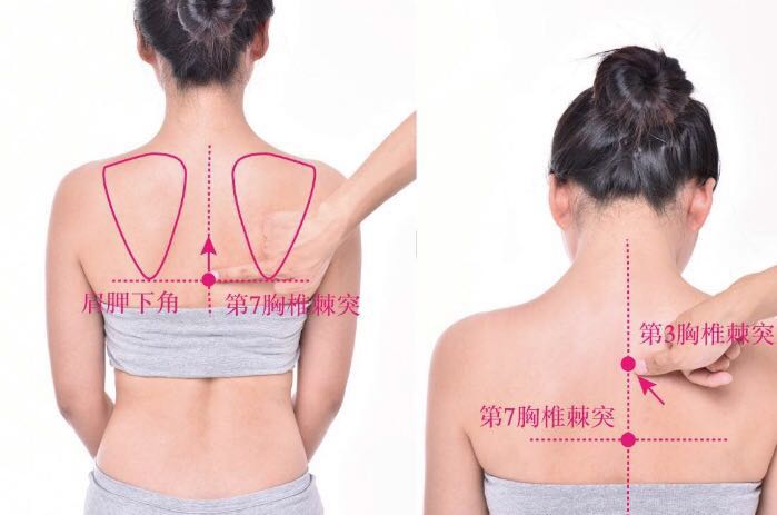 身柱的证治纲要与定位图解