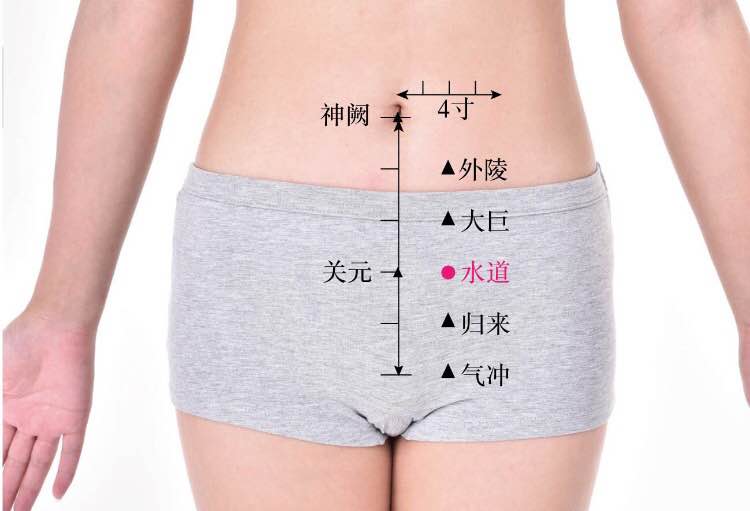 水道的证治纲要与定位图解