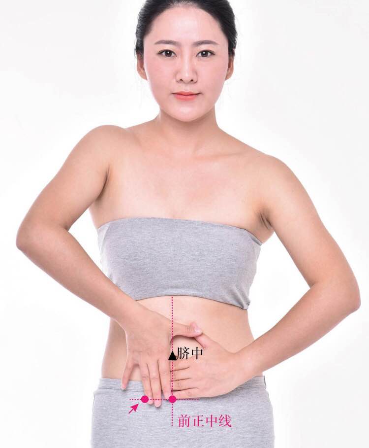 水道的证治纲要与定位图解