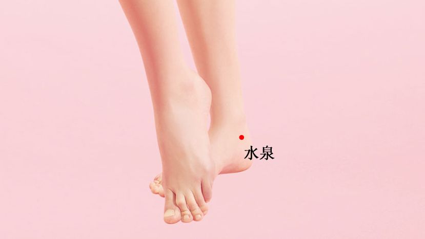 水泉的证治纲要与定位图解