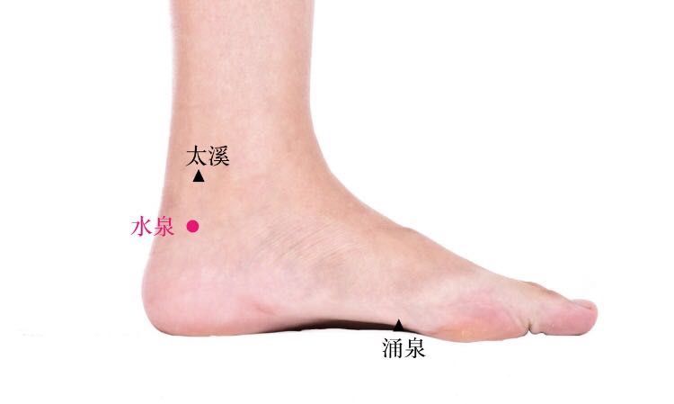 水泉的证治纲要与定位图解