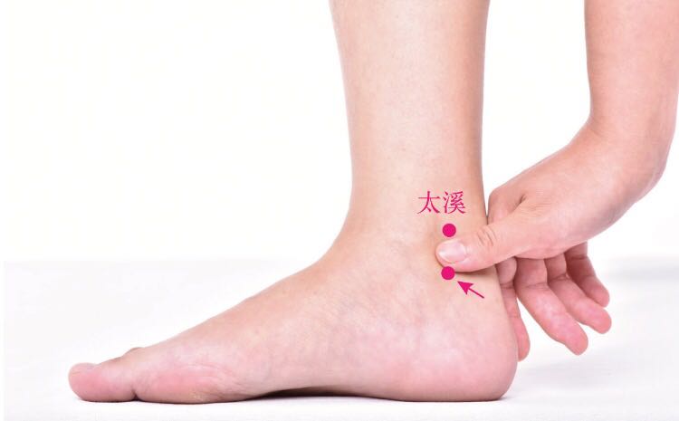 水泉的证治纲要与定位图解