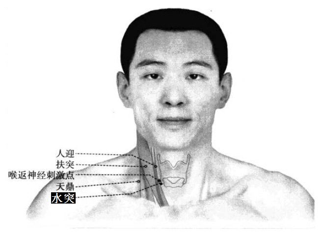 水突的证治纲要与定位图解