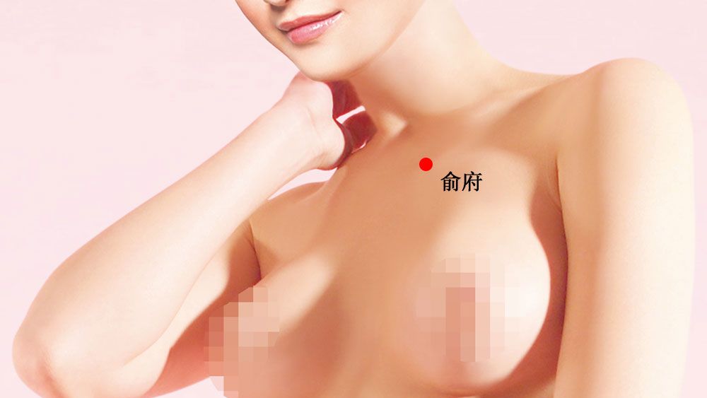 俞府的证治纲要与定位图解
