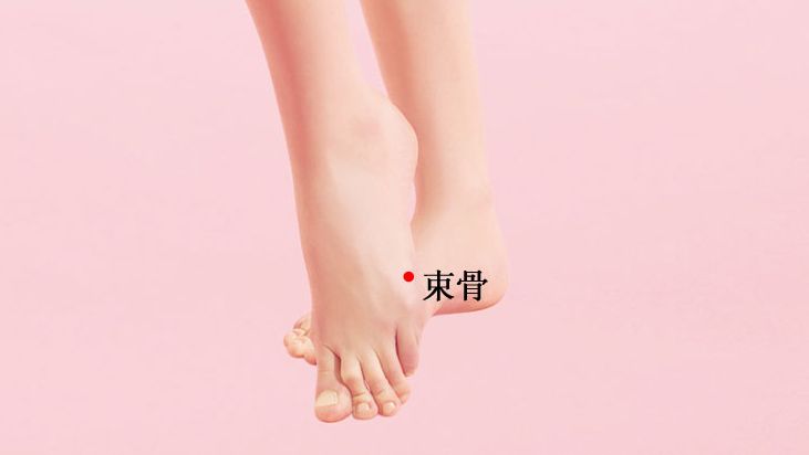 束骨的证治纲要与定位图解