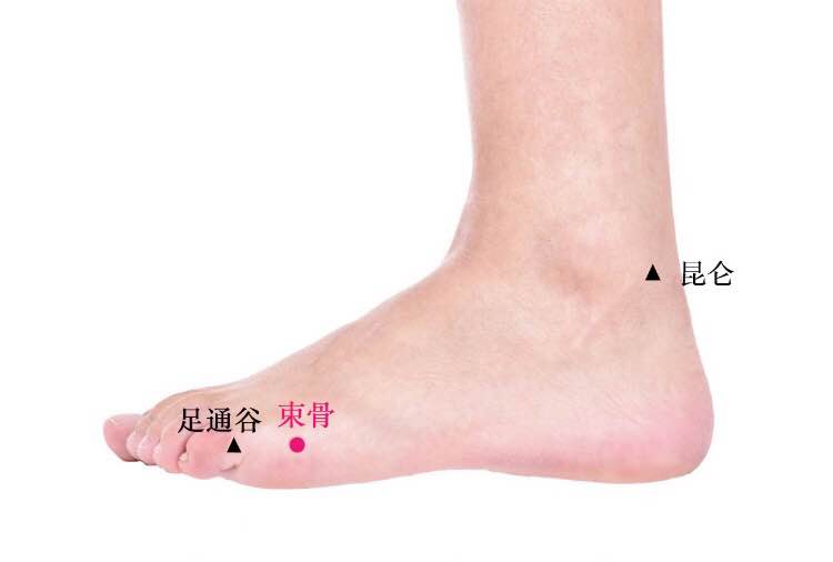 束骨的证治纲要与定位图解