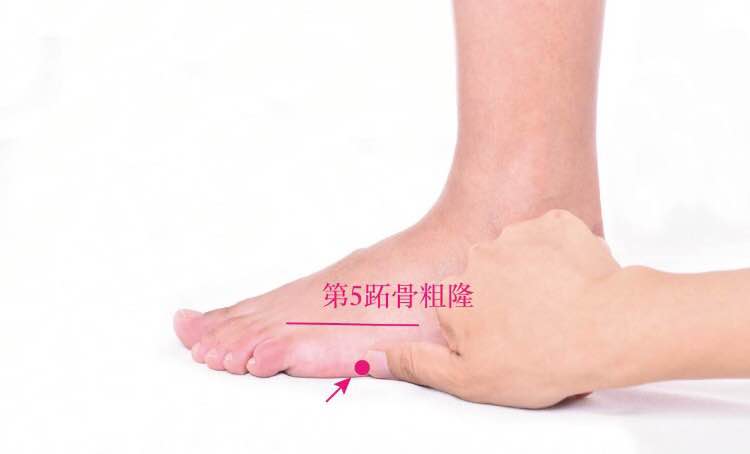 束骨的证治纲要与定位图解
