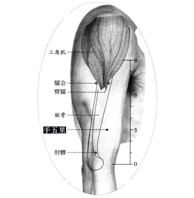 手五里的证治纲要与定位图解