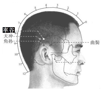 率谷的证治纲要与定位图解