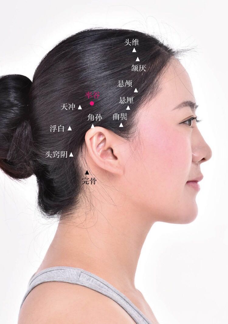 率谷的证治纲要与定位图解