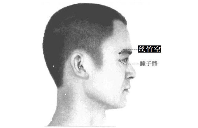 丝竹空的证治纲要与定位图解