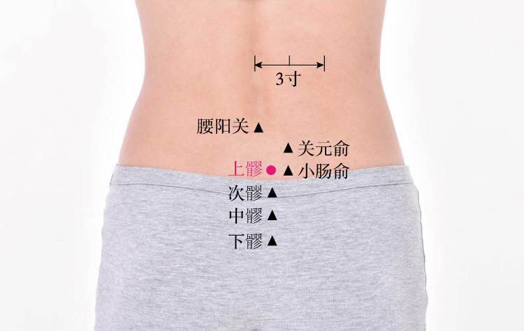 上髎的证治纲要与定位图解