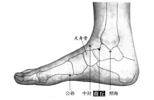 商丘的证治纲要与定位图解