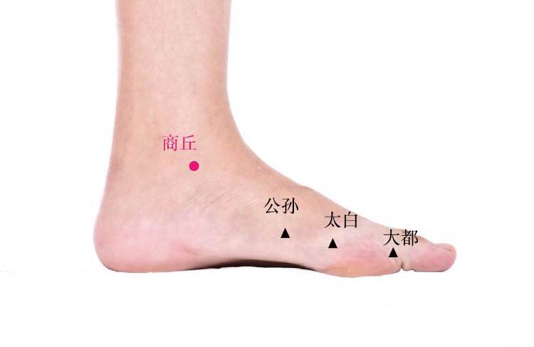 商丘的证治纲要与定位图解