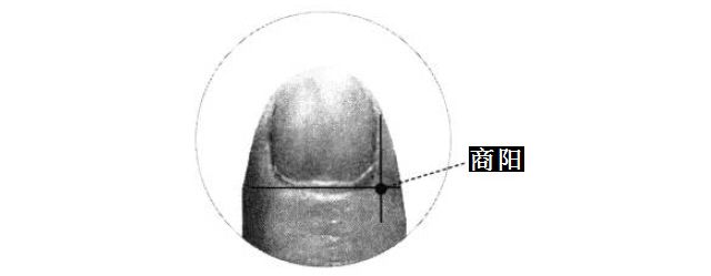 商阳的证治纲要与定位图解