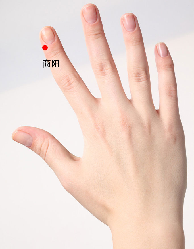 商阳的证治纲要与定位图解