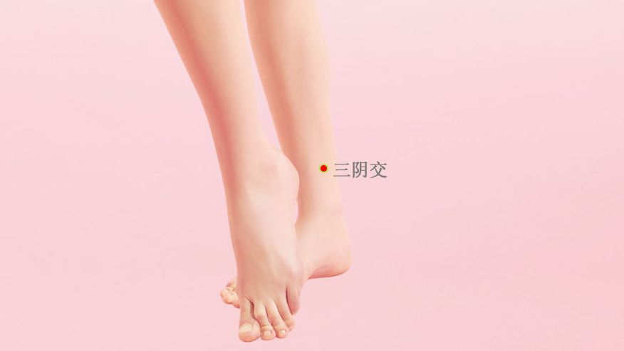 美容养颜的艾灸疗法