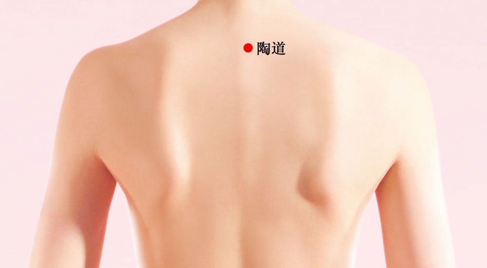 陶道的证治纲要与定位图解