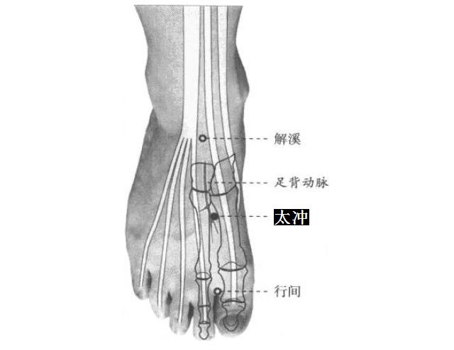气郁体质的日常调理