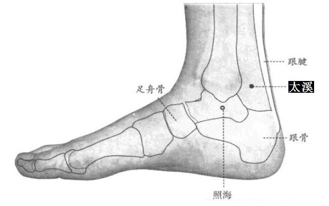 阴虚体质的日常调理