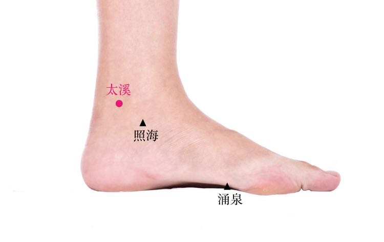 太溪的证治纲要与定位图解