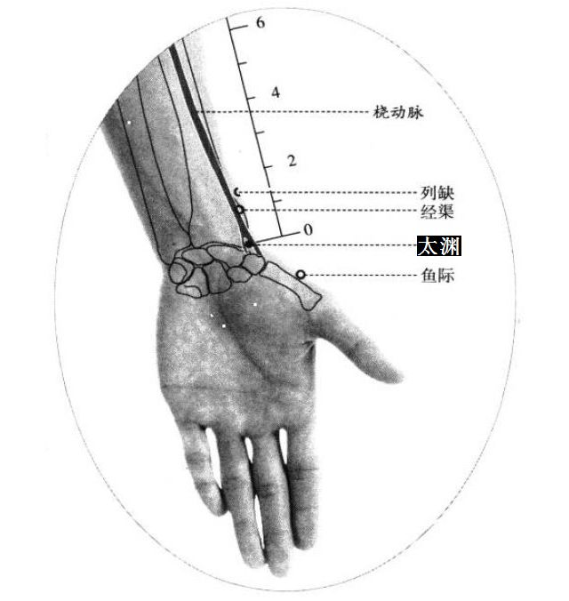 太渊的证治纲要与定位图解
