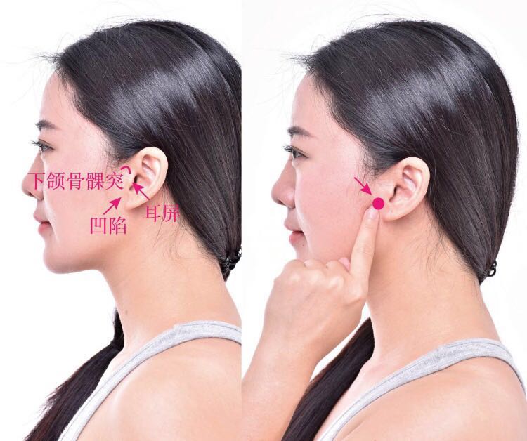 听会的证治纲要与定位图解