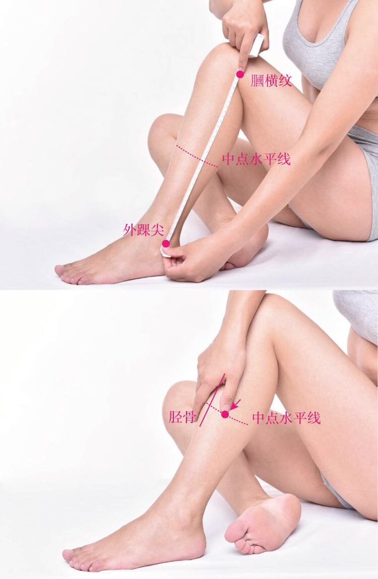 条口的证治纲要与定位图解
