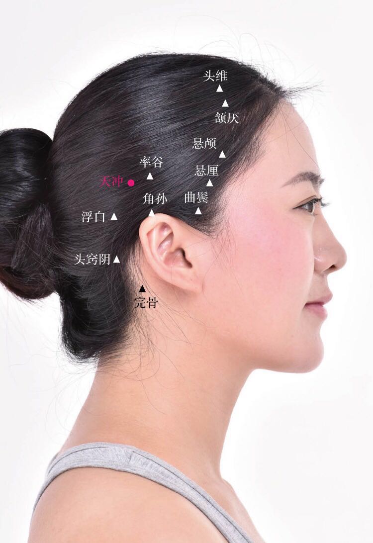 天冲的证治纲要与定位图解