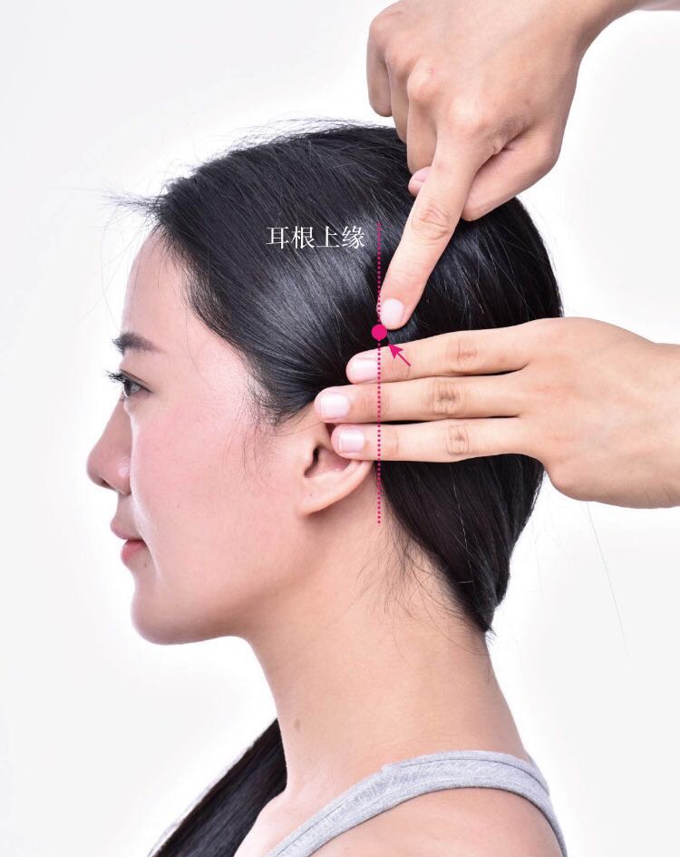 天冲的证治纲要与定位图解