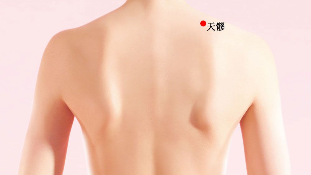 天髎的证治纲要与定位图解