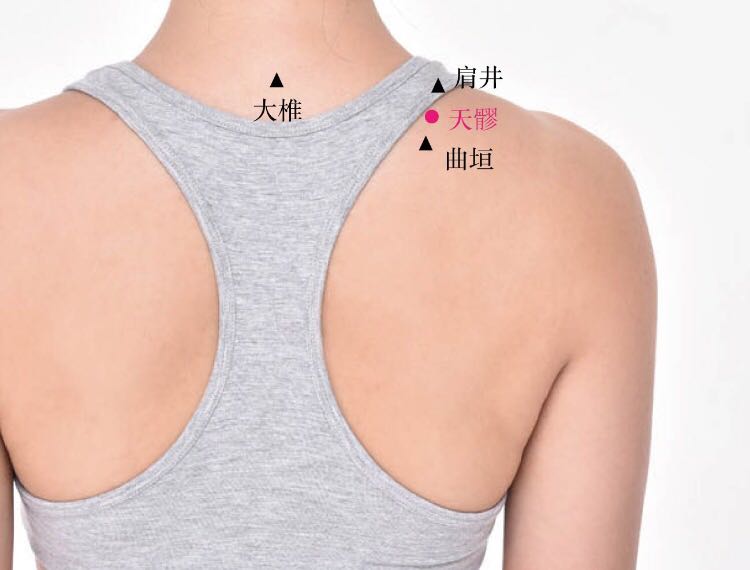 天髎的证治纲要与定位图解