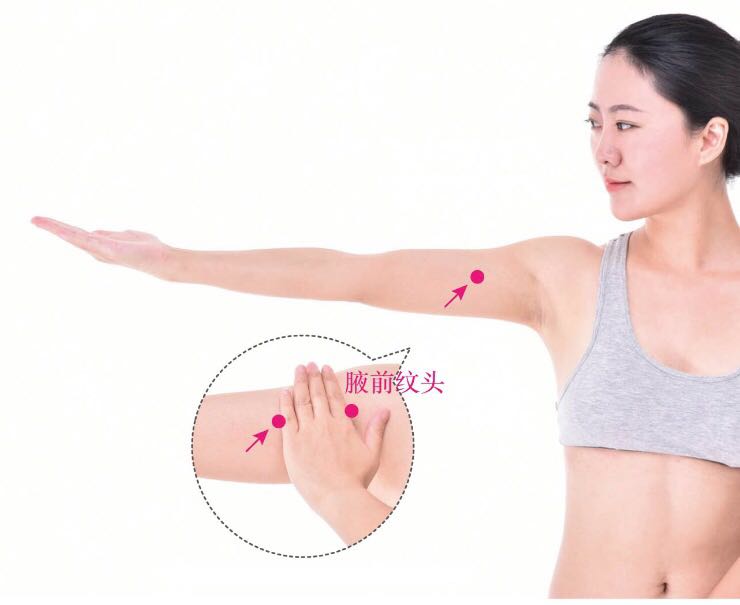 天泉的证治纲要与定位图解