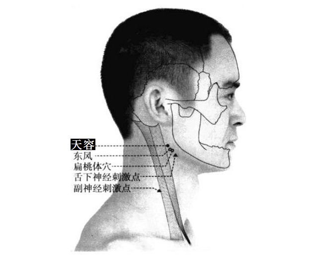 天容的证治纲要与定位图解