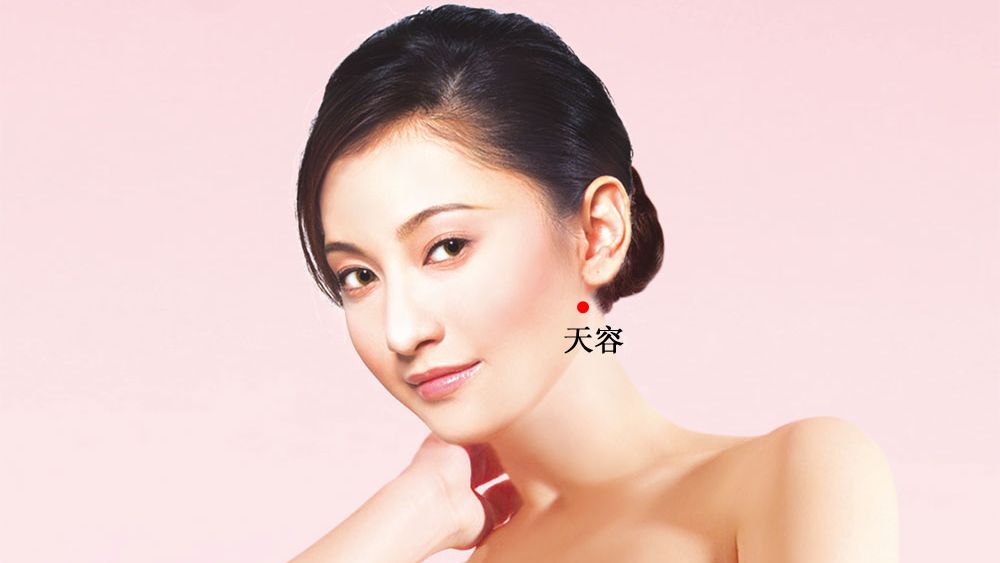 天容的证治纲要与定位图解