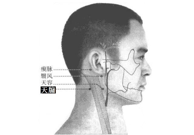 天牖的证治纲要与定位图解