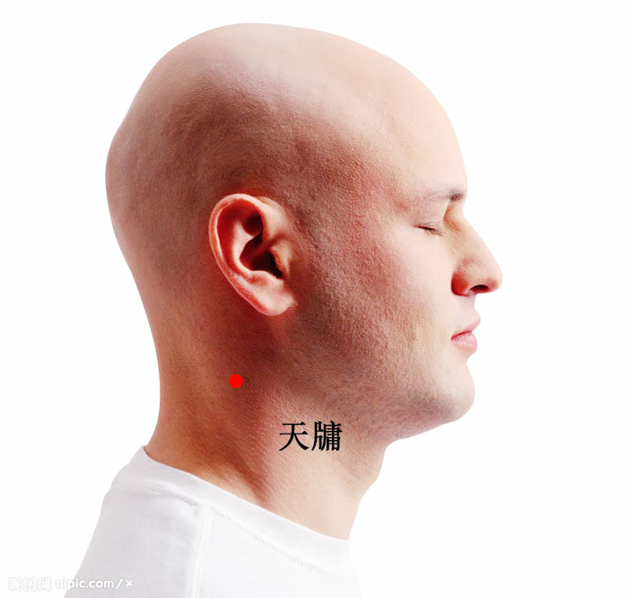 天牖的证治纲要与定位图解