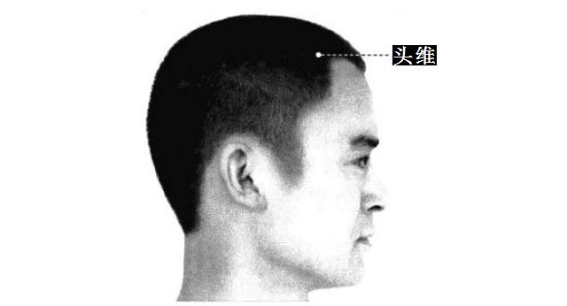 头维的证治纲要与定位图解